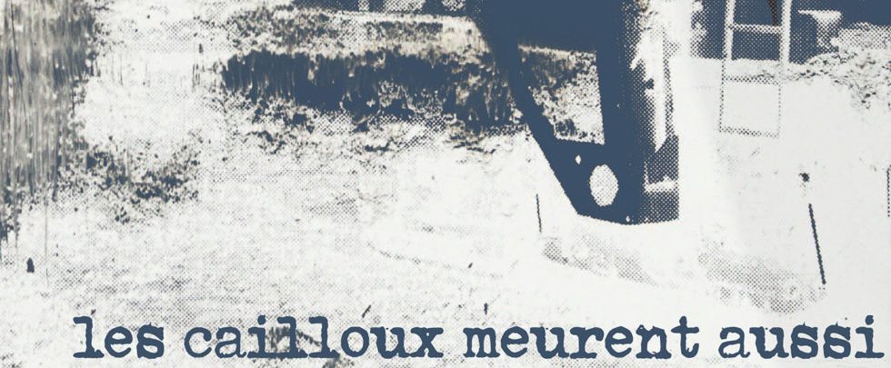 Les_cailloux_meurent_aussi-printemps-de-l-upcycling