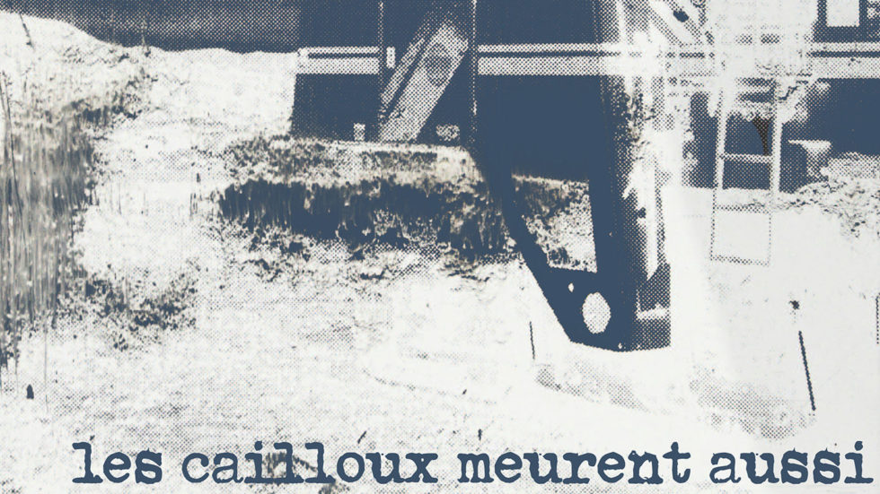 Les_cailloux_meurent_aussi-printemps-de-l-upcycling